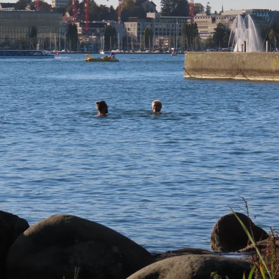 Swimming in Zurich, with Stanley Ulijaszek