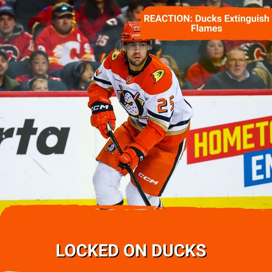 REACTION: Ducks Extinguish Flames