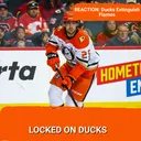 REACTION: Ducks Extinguish Flames