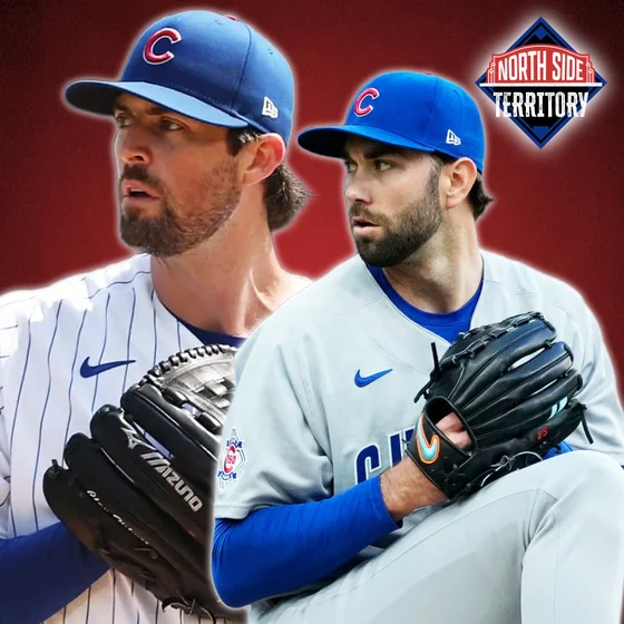 Five Cubs who should be back next season