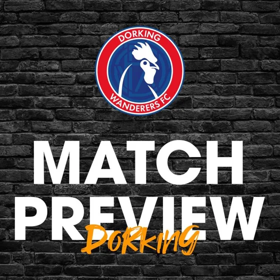 Match Preview #20 - Dorking (A)