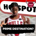 Does Caleb Wilson SINGLE-HANDEDLY Make the Bulls a FA Hotspot? | CHGO Bulls Podcast