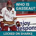 PROSPECT STRENGTH: Andre Gasseau TRADED to San Jose Sharks | Who Are Some OPTIONS At 27?