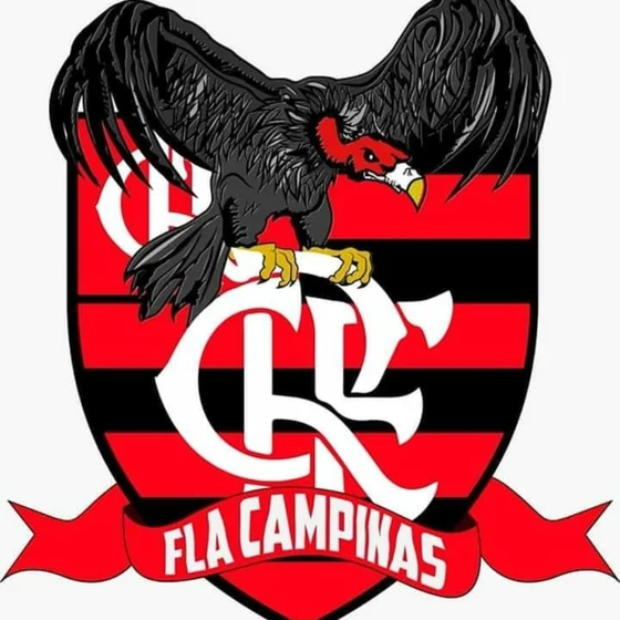 Podcast Fla Campinas cover art