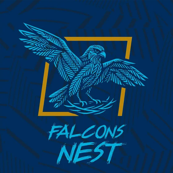The Falcons Nest cover art