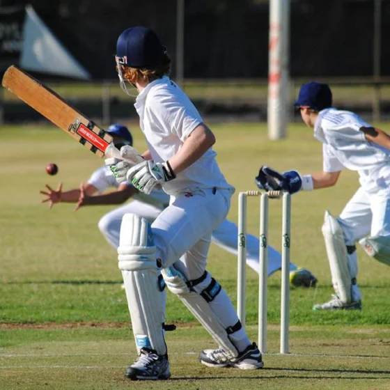Slashing Through the Cordon: The Kiama Cricket Podcast cover art