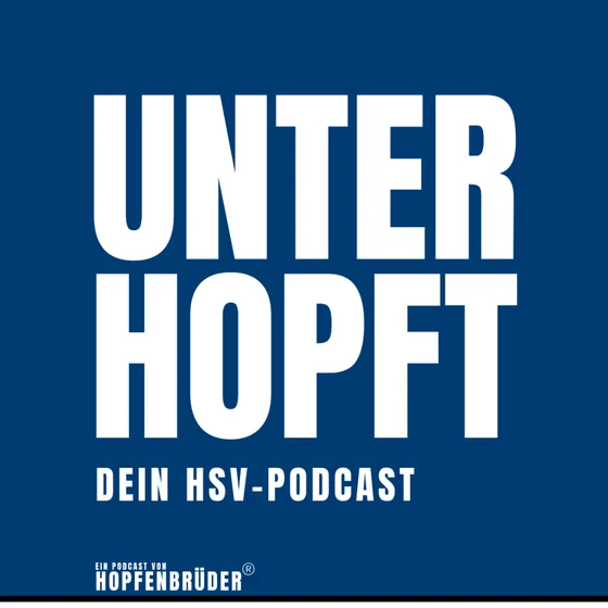 Der neue HSV - sind wir wirklich stärker als letzte Saison?