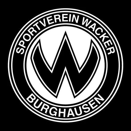 Vision 2030: Der SVW-Podcast cover art