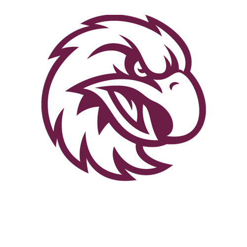 Manly Warringah Sea Eagles