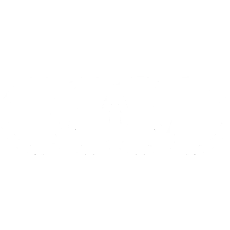 Audi Revolut F1 Team