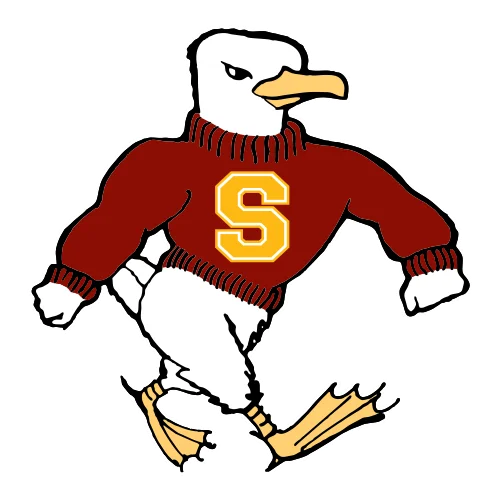 Salisbury Sea Gulls