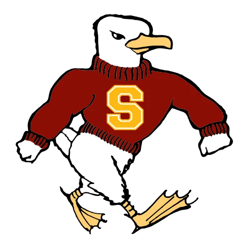 Salisbury Sea Gulls