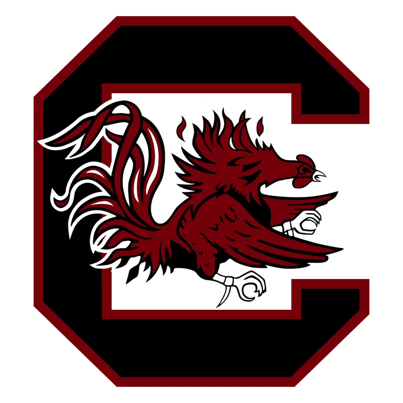 South Carolina logo