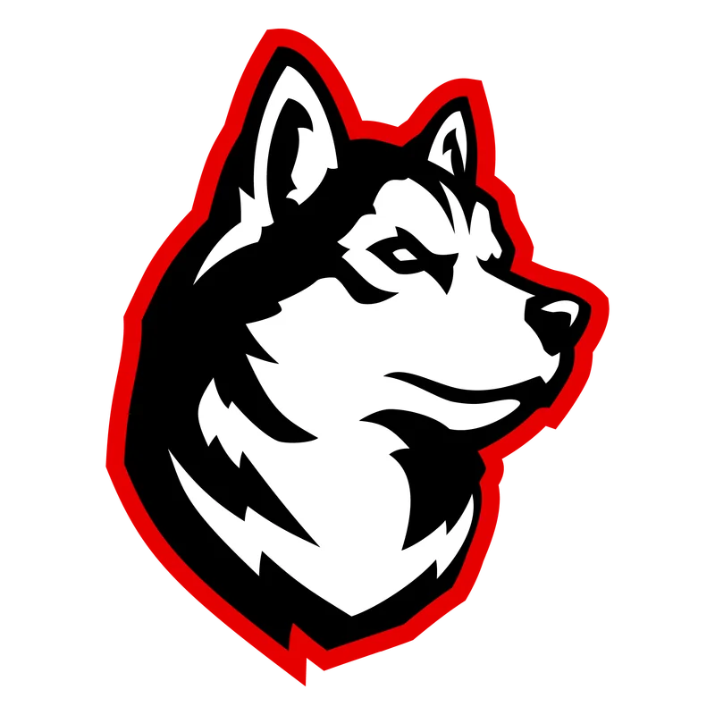 Northeastern logo