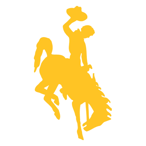Wyoming Cowboys