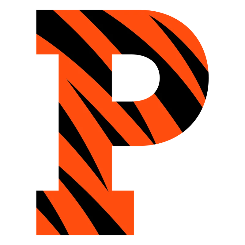 Tigers logo