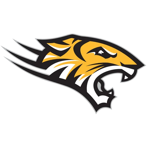 Towson logo